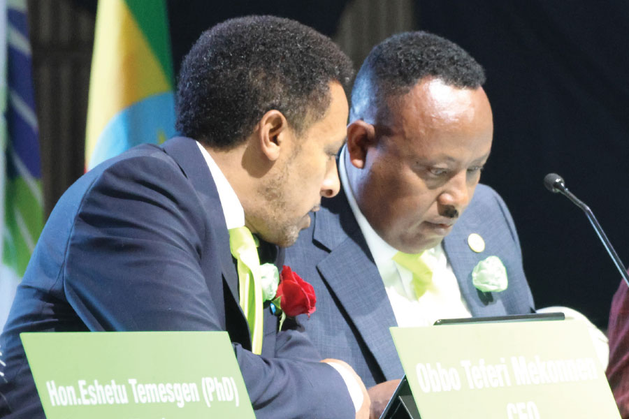 Addis Fortune Finance